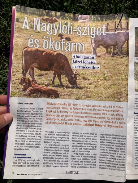 Új Vasárnap