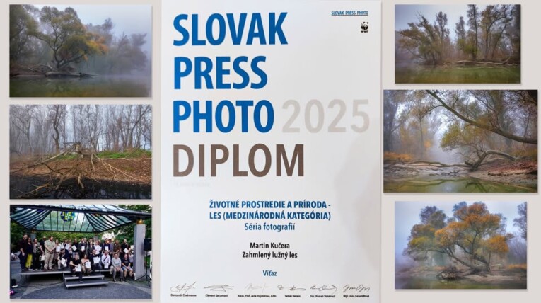 Veľkolélsky ostrov a jeho atmosféry na Slovak press photo ‍